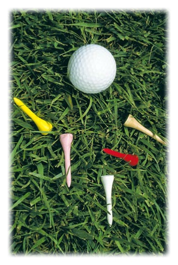 Buchert Media Golfball im Gras